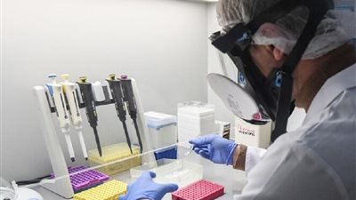 تجربة صينية ناجحة.. خلايا عصبية بشرية معدلة تعالج الاكتئاب لدى الفئران