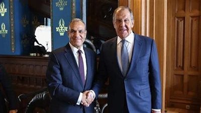 وزير الخارجية لنظيره الروسي: يجب الضغط على إسرائيل لقبول وقف إطلاق النار فى غزة