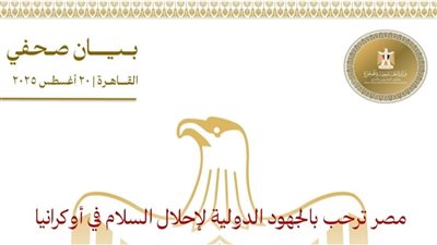 مصر ترحب بالجهود الدولية لإحلال السلام في أوكرانيا