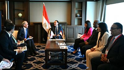 رئيس الوزراء يلتقي الرئيس التنفيذي لمجموعة 
