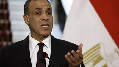 وزير الخارجية: يجب تثبيت اتفاق غزة وتنفيذه بالكامل