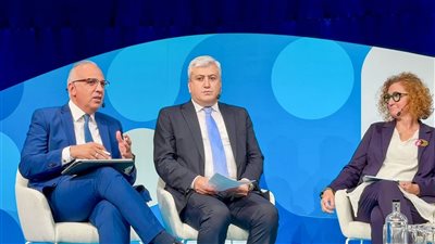 وزير الري يشارك في الجلسة رفيعة المستوى 