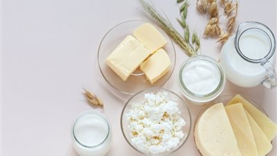 كيف تؤثر منتجات الألبان على بكتيريا الأمعاء وصحتك العامة