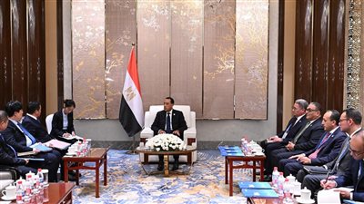رئيس الوزراء يلتقي رئيس شركة 