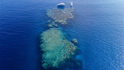 موناكو البحر الأحمر.. توقيع صفقة ضخمة بين مصر والسعودية والإمارات اليوم