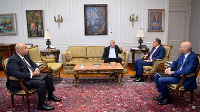 مباحثات مصرية فلسطينية حول حشد الدعم الدولي للاعتراف بالدولة الفلسطينية