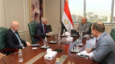 وزير الكهرباء يبحث مع شركة 