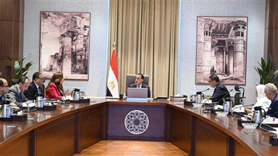 رئيس الوزراء يستعرض الإجراءات المقترحة للتعامل مع انهيار عدد من العقارات