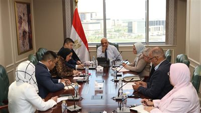 وزير الكهرباء يبحث مع شركة “صن ريف سولارSunRev Solar الصينية التعاون في مجالات الطاقة المتجددة 