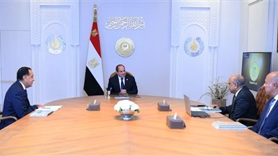 الرئيس السيسي يتابع مشروعات الطاقة المتجددة.. وهذه أبرز التوجيهات