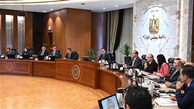 رئيس الوزراء يتابع جهود توفير الأدوية والمستلزمات الطبية وإجراءات توطين صناعة الدواء في مصر