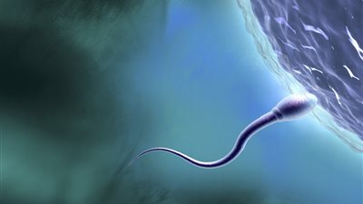 انخفاض خصوبة الرجال إلى النصف خلال 30 عاما.. خبراء يحددون الأسباب والحلول