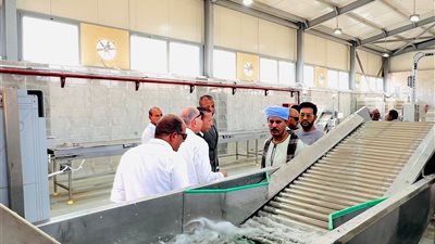 وفد إيطالي  يتفقد مجمع الصناعات بالأقصر قبل إنطلاق موسم زراعة وتجفيف الطماطم بغرض التصدير