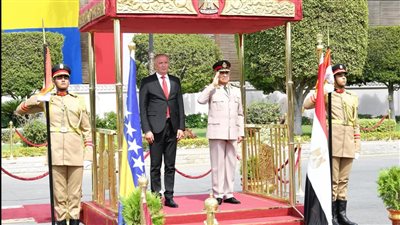 الفريق أول عبد المجيد صقر القائد العام للقوات المسلحة وزير الدفاع والإنتاج الحربى يلتقى وزير الدفاع لدولة البوسنة والهرسك  