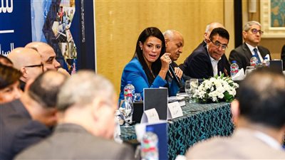 المشاط تعقد لقاءً موسعًا مع رؤساء تحرير الصحف والمواقع الإخبارية وعدد من الكُتّاب 