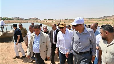 الدكتور سويلم يواصل جولته بمحافظة أسوان ويتفقد المفرخ السمكي بمنطقة الشلال