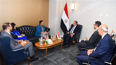 وزير الخارجية يلتقي المديرة التنفيذية للآلية الأفريقية لمراجعة النظراء