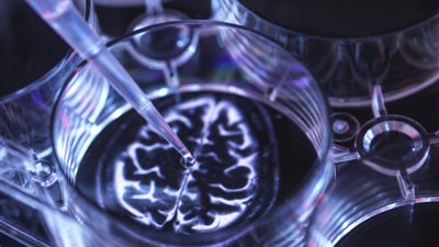 وصفة علمية لتقليل خطر التدهور العقلي والخرف