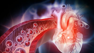 تأثير مذهل للرياضة على بنية أعصاب القلب