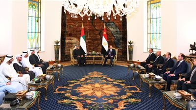 الرئيس السيسي يؤكد عمق ومتانة العلاقات الثنائية بين مصر والإمارات