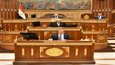 مجلس الشيوخ ينعقد الخميس.. و17 أكتوبر نهاية الفصل التشريعى