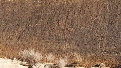 اكتشاف أثري مذهل في صحراء السعودية: منحوتات صخرية تعود لـ12 ألف عام 