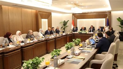 وزارة الصحة: نائبا رئيس مجلس الوزراء يشهدان اجتماع مجلس إدارة هيئة الدواء المصرية لمتابعة نمو السوق الدوائي 
