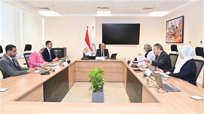 سويلم يبحث مع سفيرة فنلندا بالقاهرة سبل تعزيز التعاون بين البلدين في مجال الموارد المائية