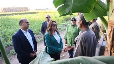 وزيرة التنمية المحلية والقائم بأعمال وزير البيئة في جولة مفاجئة لمنظومة جمع قش الأرز بالدقهلية والقليوبية