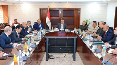 وزير الزراعة يتابع الموقف التنفيذي لمشروع التجمعات الزراعية التنموية في سيناء