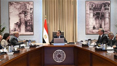 رئيس الوزراء يتابع الموقف التنفيذي لمشروعات الطاقات المتجددة