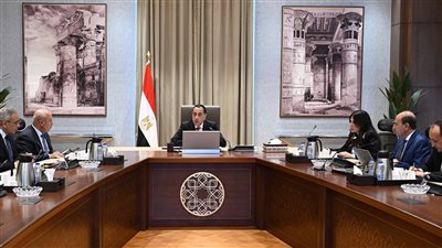 رئيس الوزراء يُتابع مشروع إنشاء القوس الغربي لمحور اللواء عُمر سليمان بالإسكندرية