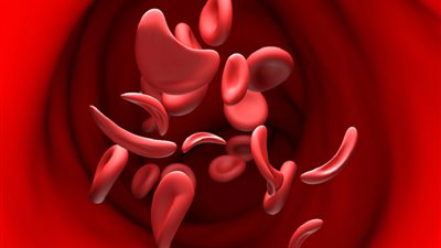 خطوة مثيرة نحو الطب التجديدي.. طريقة مبتكرة لإنتاج خلايا دم بشرية في المختبر