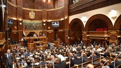 رئيس الجمهورية يدعو مجلس الشيوخ لافتتاح الفصل التشريعى الثانى السبت المقبل