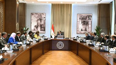 رئيس الوزراء يتابع الموقف التنفيذي لأعمال تطوير ورفع كفاءة بحيرة البردويل