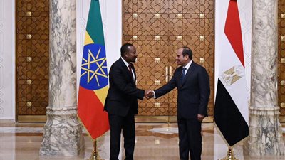 مصر تعيّن سفيرا جديدا في إثيوبيا