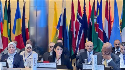 المشاط: نُقدر جهود مؤسسات التمويل العربية ونؤكد أهمية التكامل الإقليمي لمواجهة تحديات التنمية