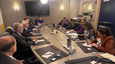 وزير الاستثمار يبحث مع مجموعة IIB Group Holdings فرص التعاون الاستثماري في القطاعات الاستراتيجية بمصر