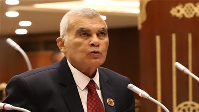 المستشار عصام الدين فريد رئيسا لمجلس الشيوخ 2025.. رسميا