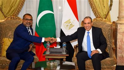 مشاورات سياسية بين وزيرى خارجية مصر والمالديف