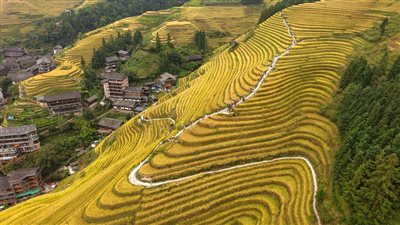 الصين تجدد إنذارا باللون الأصفر لمواجهة الإعصار فنغشن