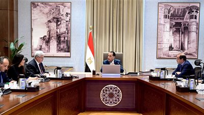 رئيس الوزراء يتابع الموقف التنفيذي للطاقات المتجددة وتدعيم الشبكة القومية للكهرباء