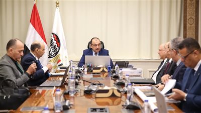 وزير قطاع الأعمال العام يتابع جهود التوافق مع آلية تعديل حدود الكربون لتعزيز تنافسية الصادرات