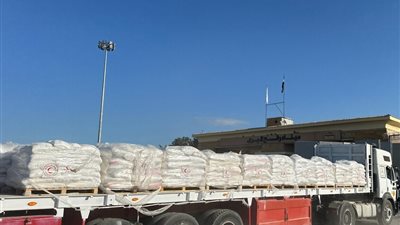 مصر تدفع بآلاف أطنان المساعدات إلى غزة 