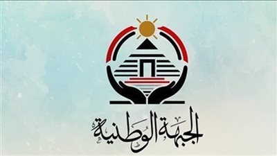 حزب الجبهة الوطنية يحصد 10 مقاعد فى هيئات مكاتب اللجان النوعية لمجلس الشيوخ