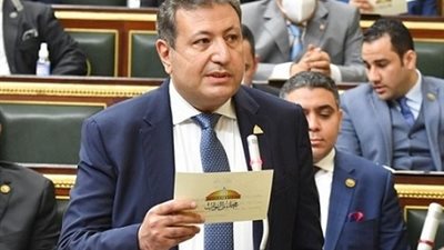 النائب طارق شكري: المشاركة الإيجابية في الانتخابات مسؤولية وطنية لدعم مسيرة الاستقرار والتنمية