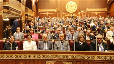 حزب العدل يحصد مقعدين بانتخابات هيئات مكاتب اللجان النوعية بمجلس الشيوخ