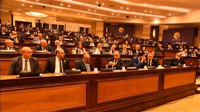 حزب حماة الوطن يحصد 12 مقعدا فى هيئات لجان مجلس الشيوخ