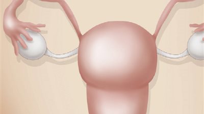 ليست البويضات وحدها!.. دراسة تفسّر سبب تراجع خصوبة المرأة