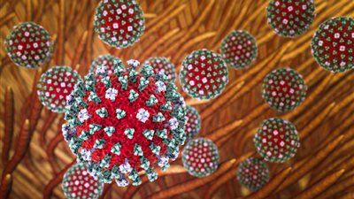 لقاح تجريبي ضد جميع سلالات إنفلونزا الطيور المعروفة والمستقبلية